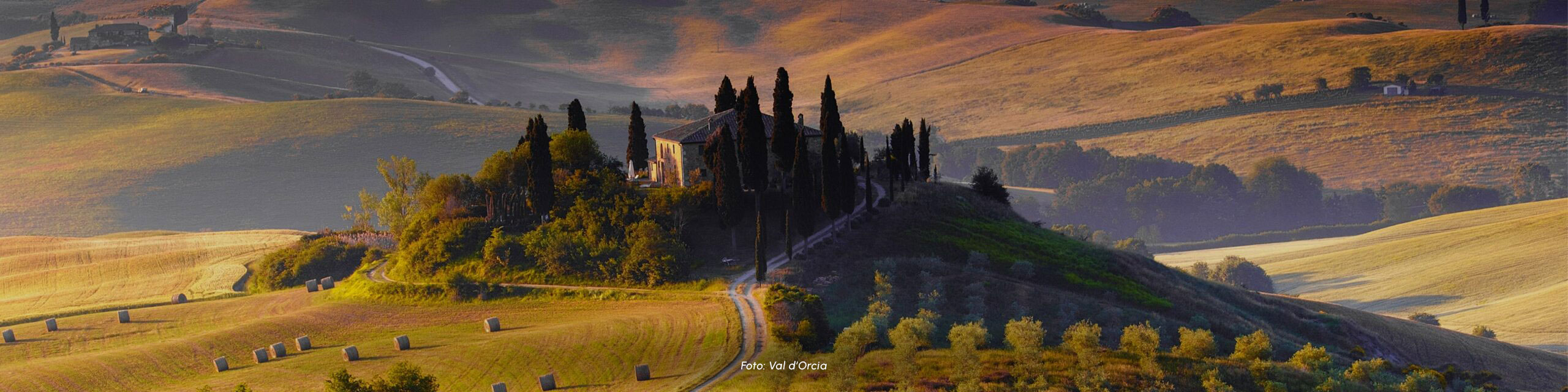 Copertina dell'itinerario Valdarno. La nobiltà del pollo, la rarità della tarese. TOSCANA-wide-scaled-1.jpg